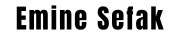 Klantlogo 13